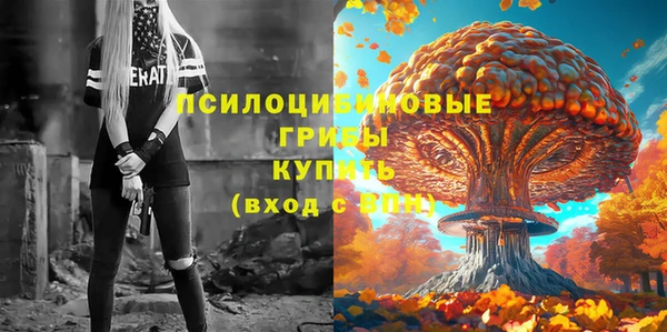 кокаин Белокуриха
