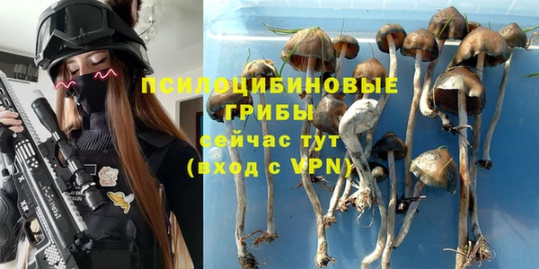 стаф Беломорск